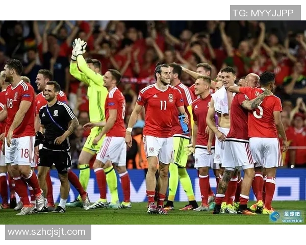 法国与威尔士全场比赛精彩回顾及精彩瞬间分析 法国与威尔士全场比赛精彩回顾及精彩瞬间分析